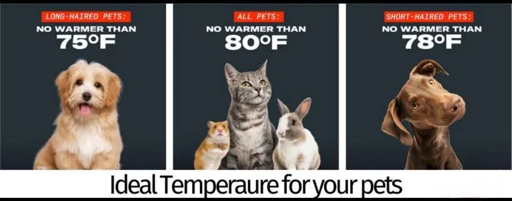 Slide of ASAP Heating & Air Conditioning