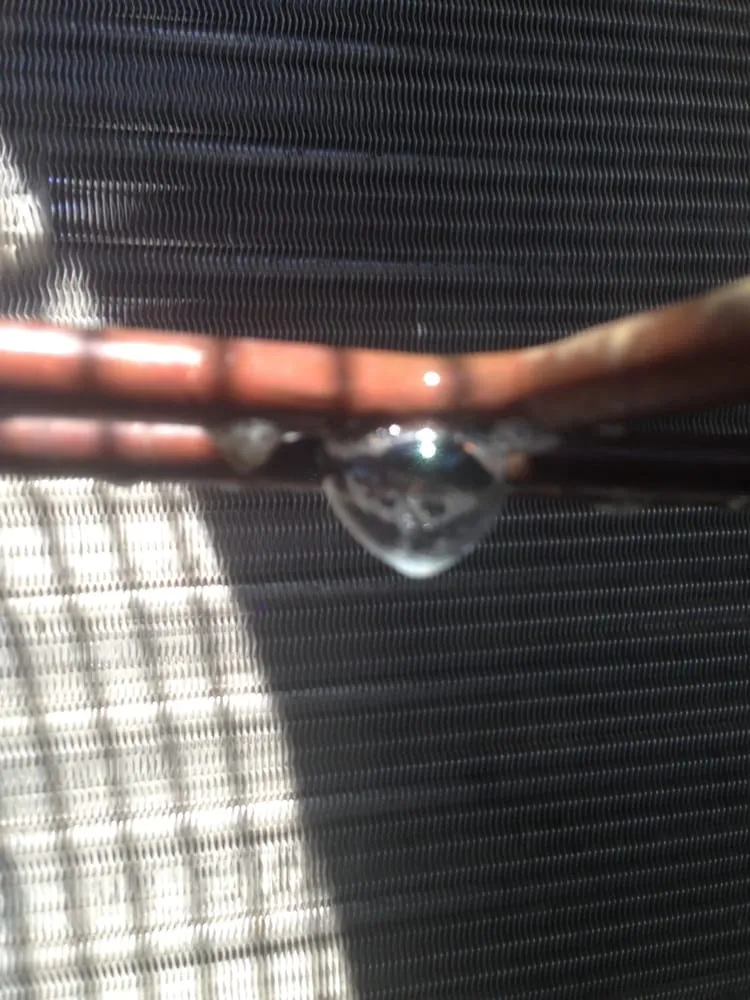 Slide of ASAP Pro Service