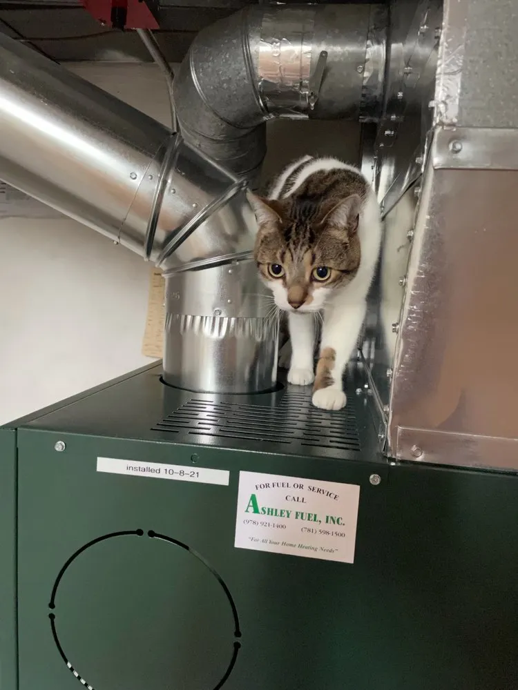 Slide of Ashley Fuel