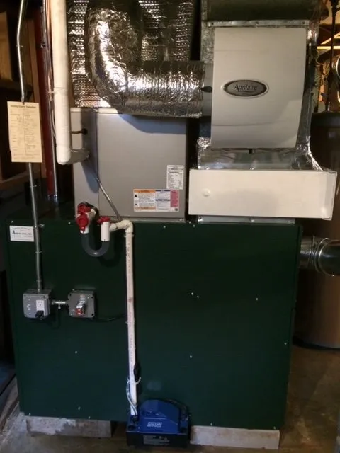 Slide of Ashley Fuel