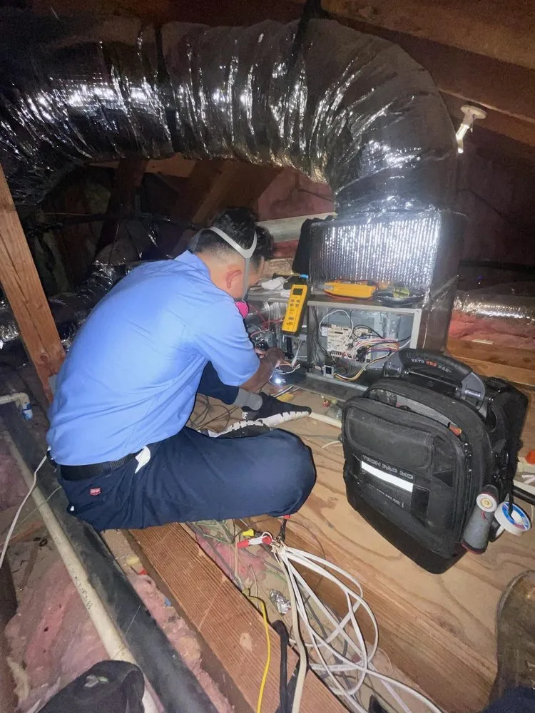 Slide of ASI, The White Glove Guys