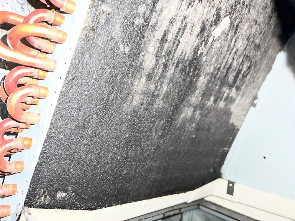 Slide of Askwel Solutions