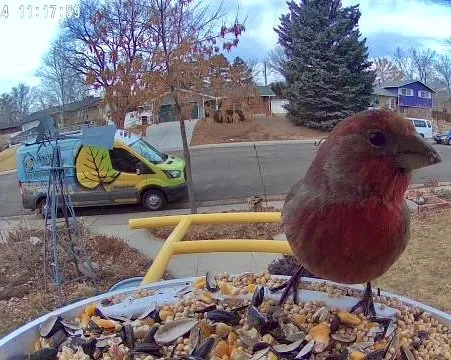 Slide of Aspen Creek Heating & Air