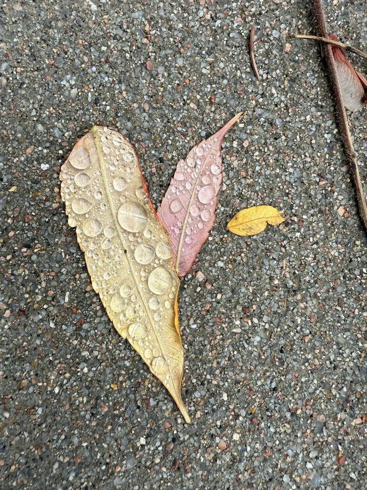 Slide of Aspen Creek Heating & Air