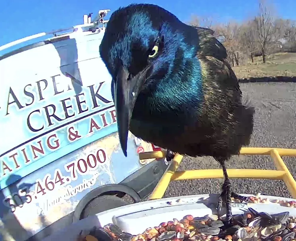 Slide of Aspen Creek Heating & Air