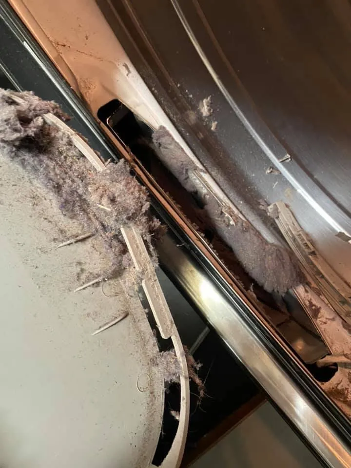 Slide of Asset Protection and Repair