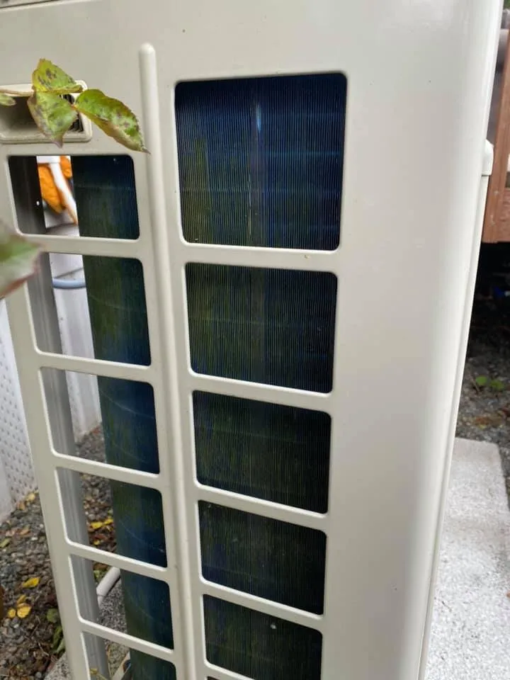 Slide of Asset Protection and Repair