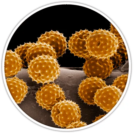 Slide of Atlantic Duct & Dryer Vents Cleaning