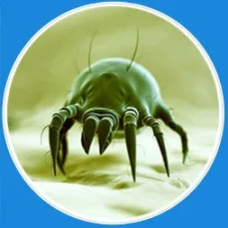 Slide of Atlantic Duct & Dryer Vents Cleaning