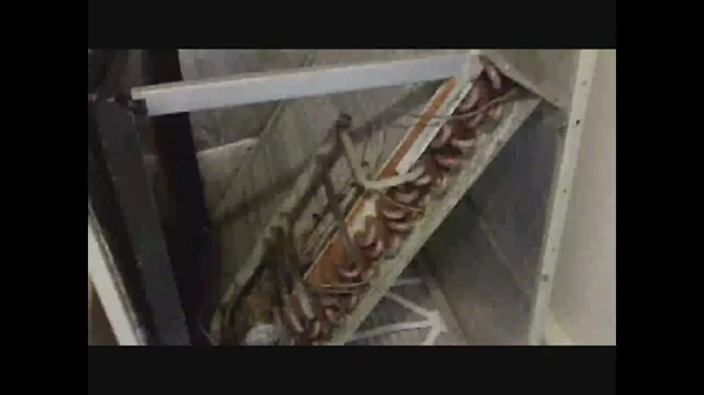 Slide of Atlantic Environmental Service and Products, Inc.