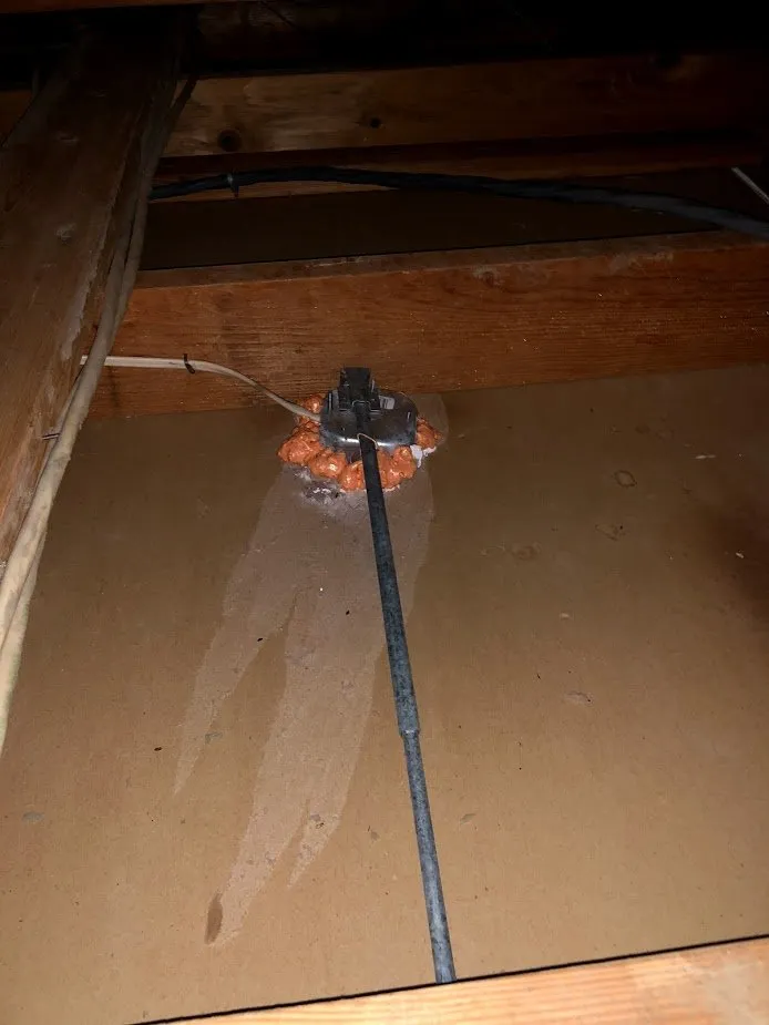 Slide of Attic Bright