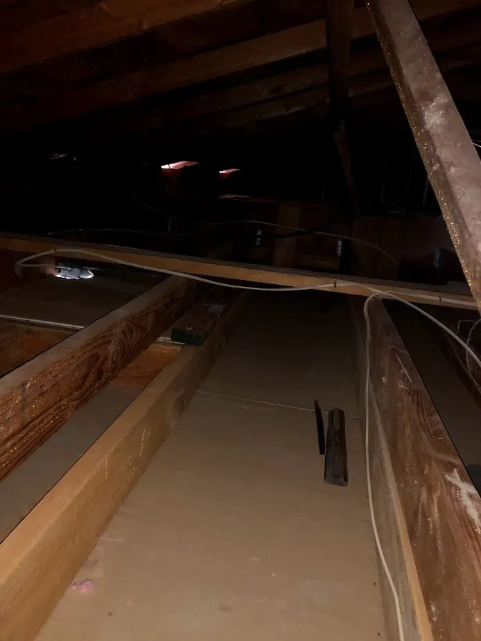 Slide of Attic Bright