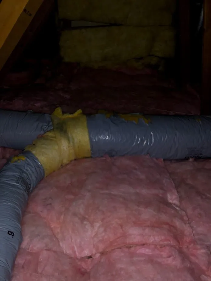 Slide of Attic Bright