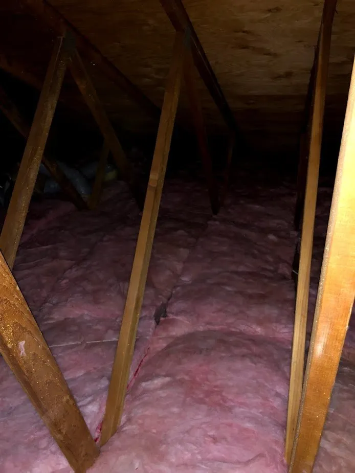 Slide of Attic Bright