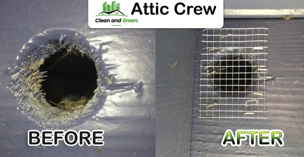 Slide of Attic Crew