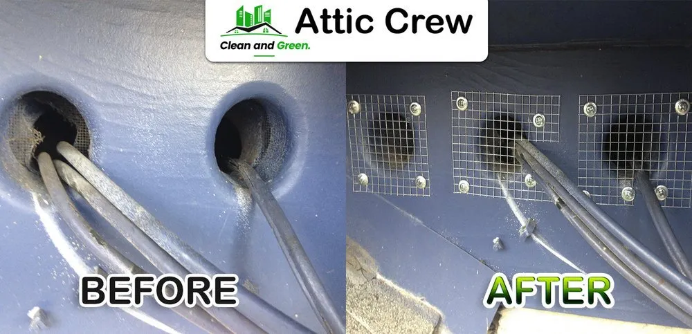 Slide of Attic Crew