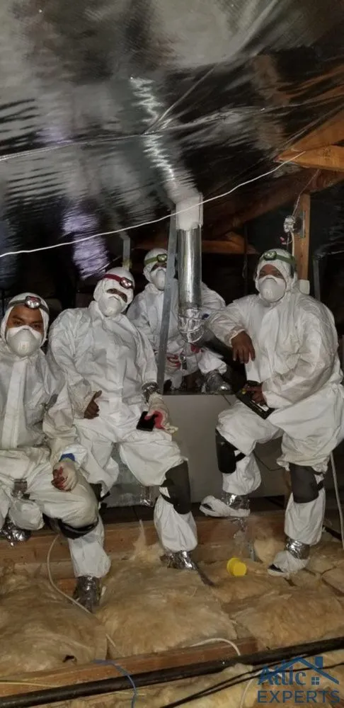 Slide of Attic Experts