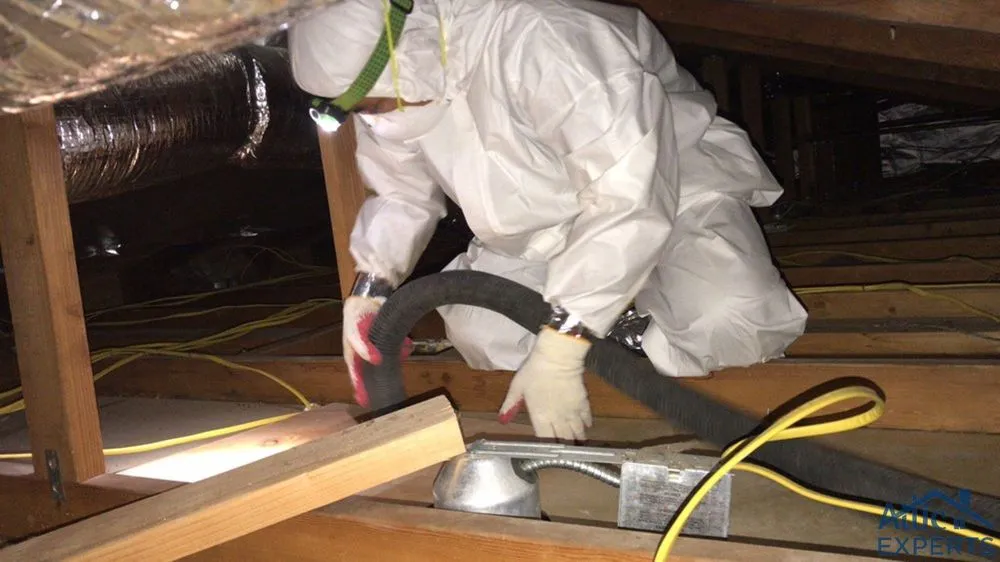 Slide of Attic Experts