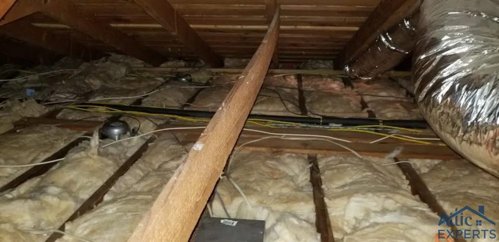 Slide of Attic Experts