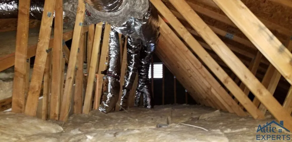 Slide of Attic Experts