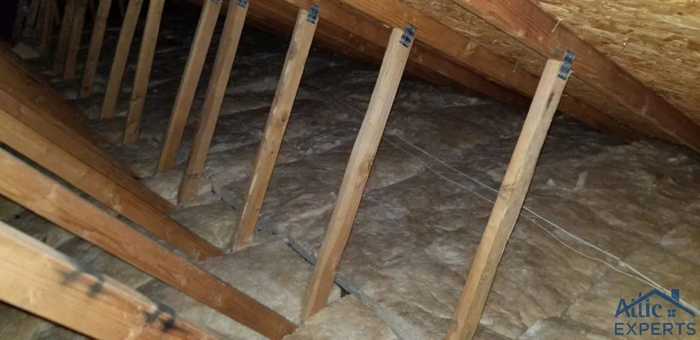 Slide of Attic Experts