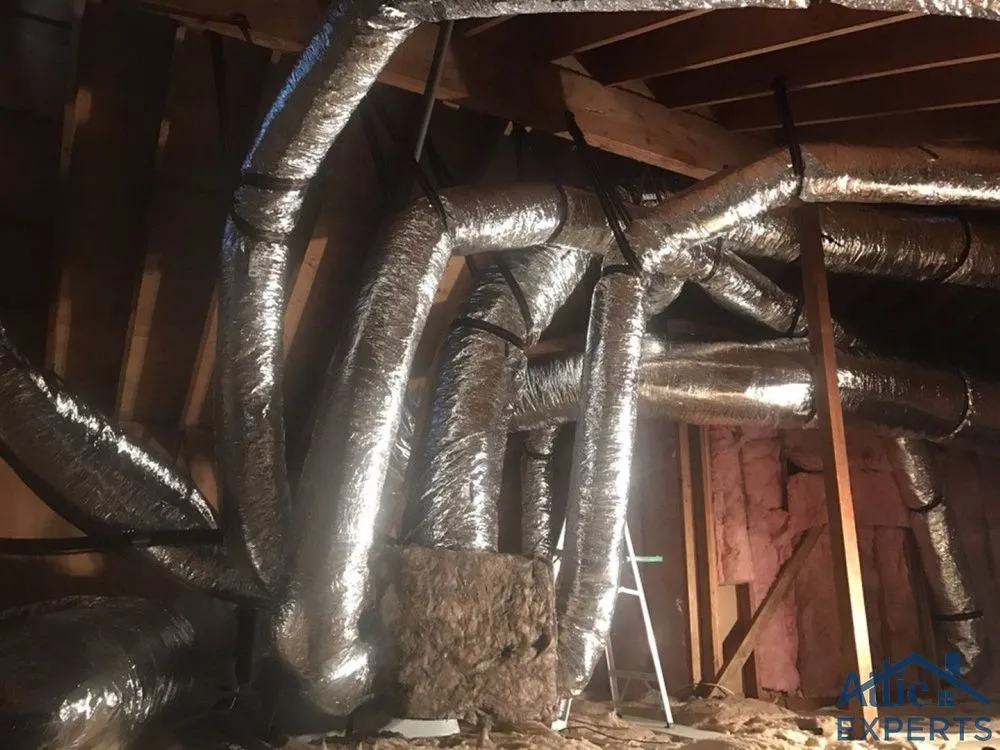 Slide of Attic Experts