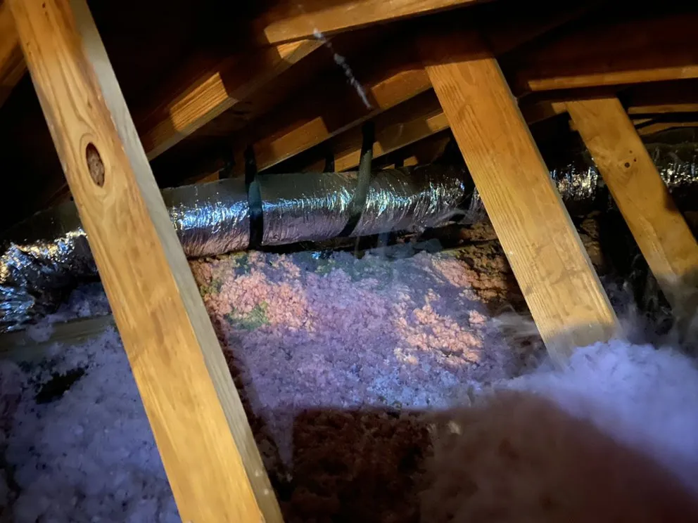 Slide of Attic Insulation Florida