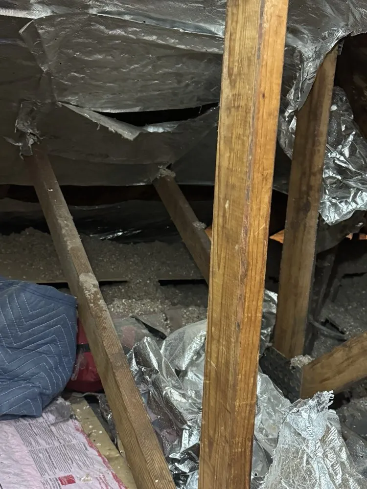 Slide of Attic Insulation Florida