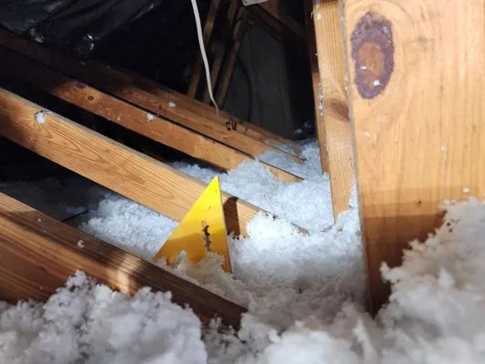 Attic Insulation Florida Logo