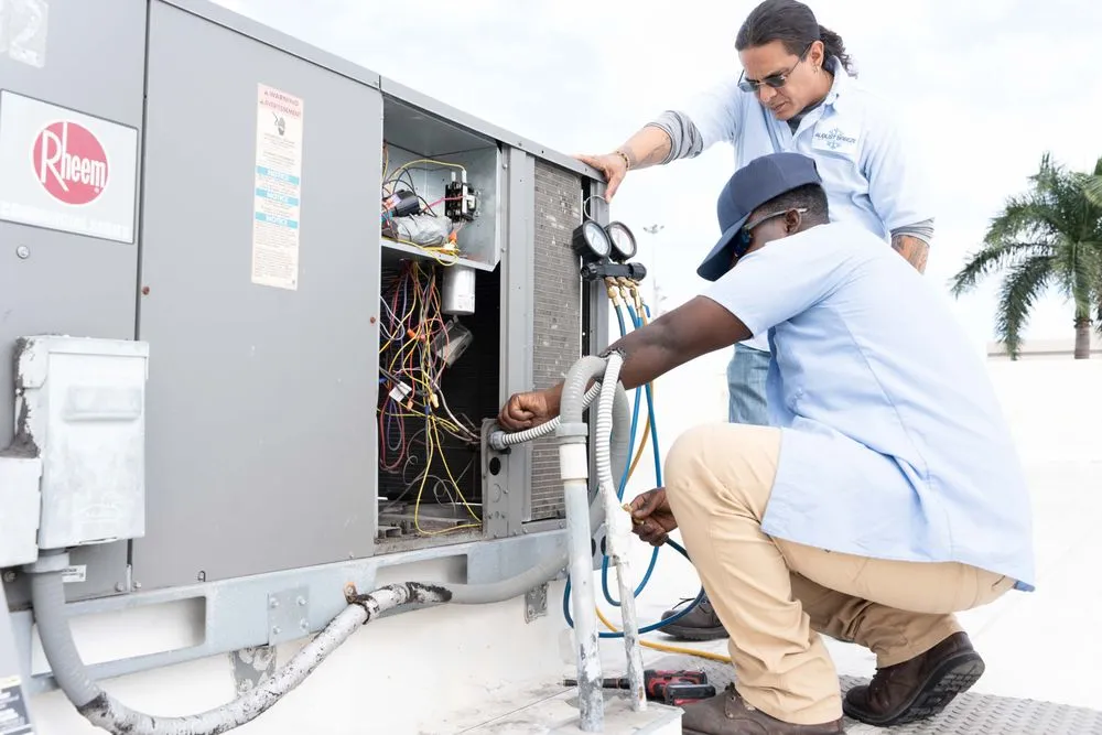 Slide of August Breeze