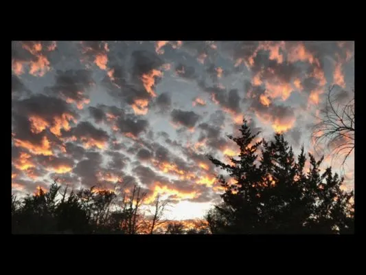 Aussie Air TX