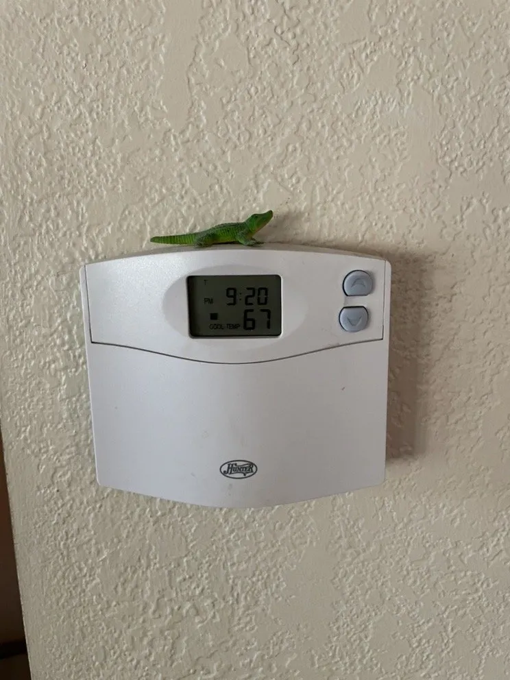 Slide of Authority Heating & Air Conditioning