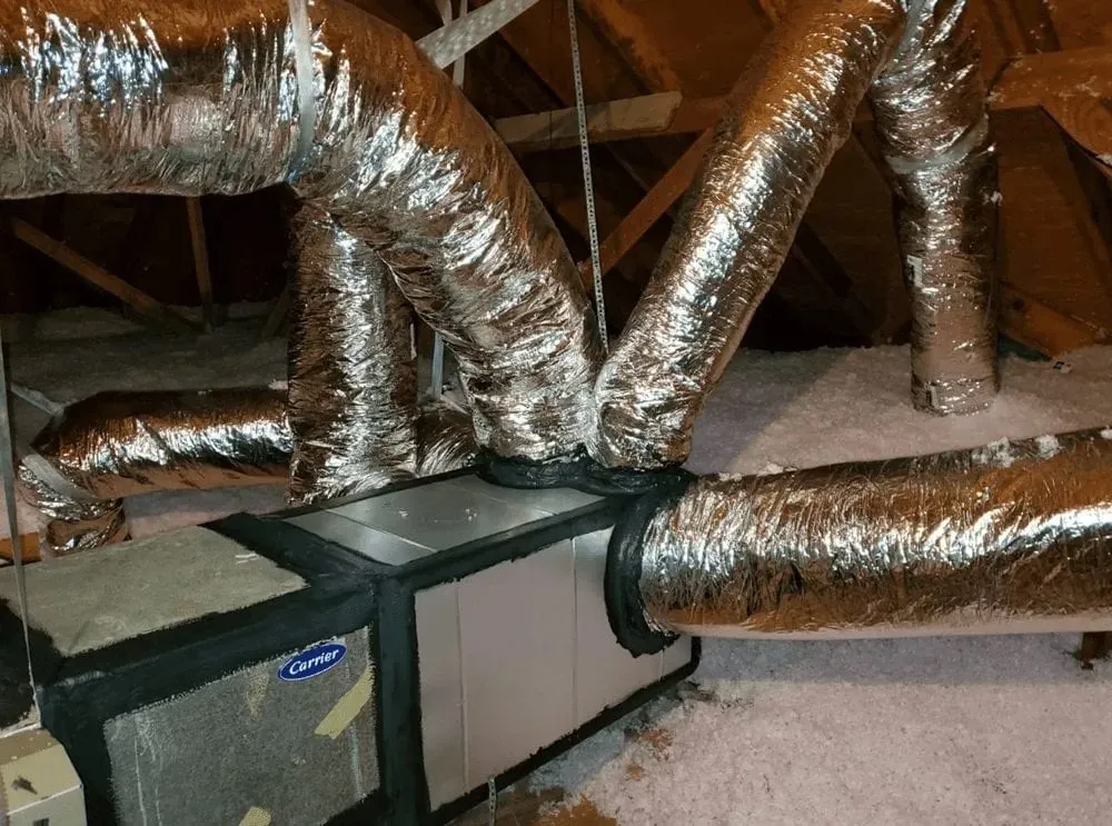 Slide of Autumn Forever