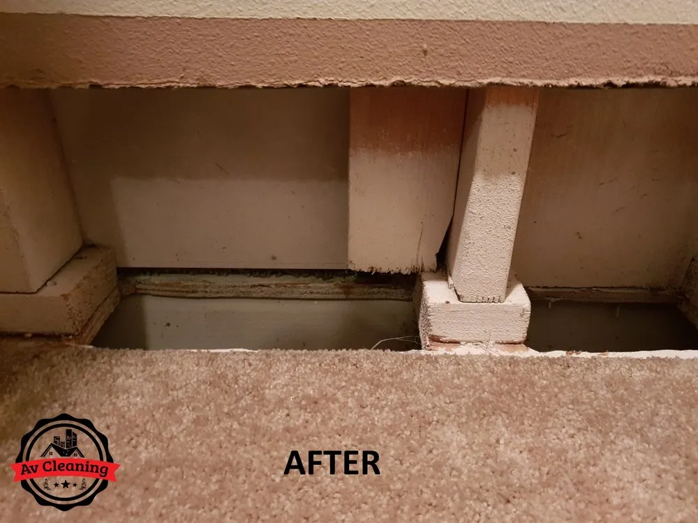 Slide of AV Cleaning