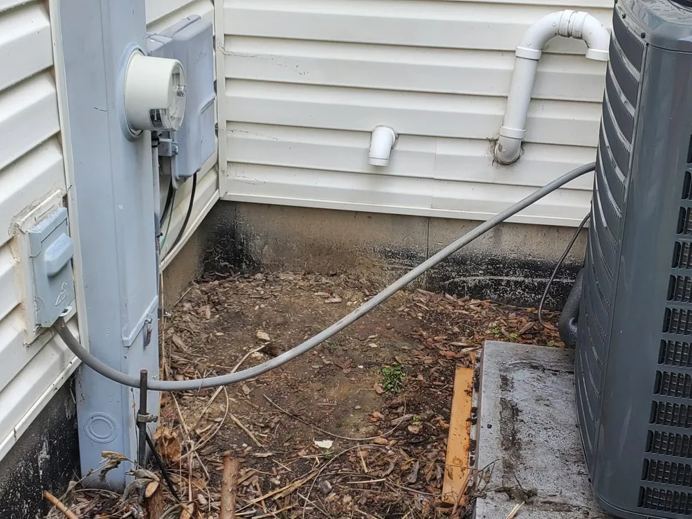 Slide of AVA Quality