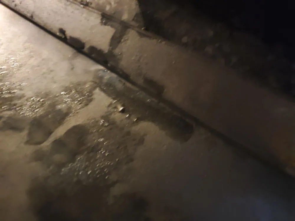 Slide of AVA Quality