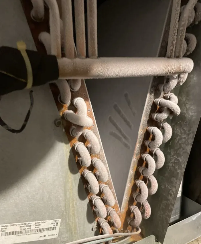 Slide of AVA Quality