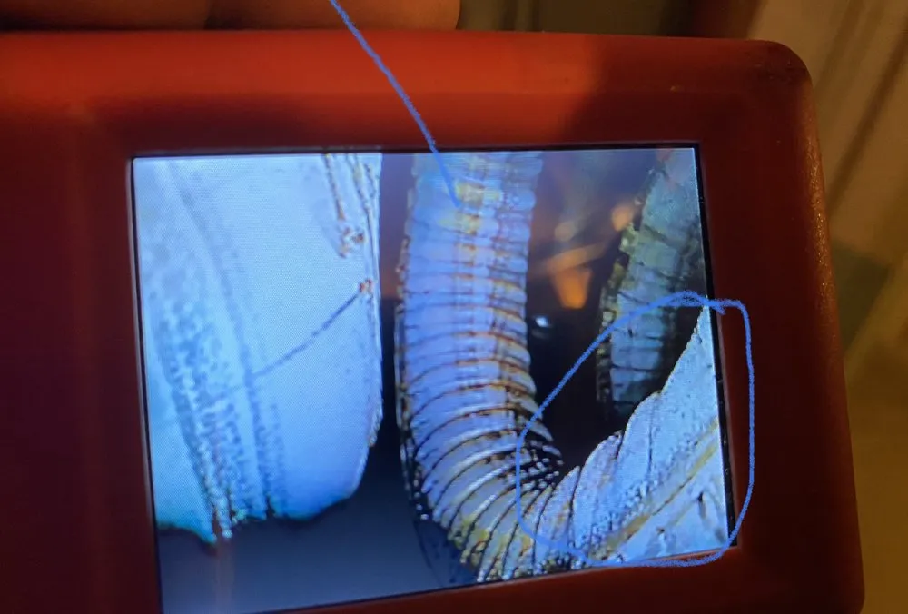 Slide of AVA Quality