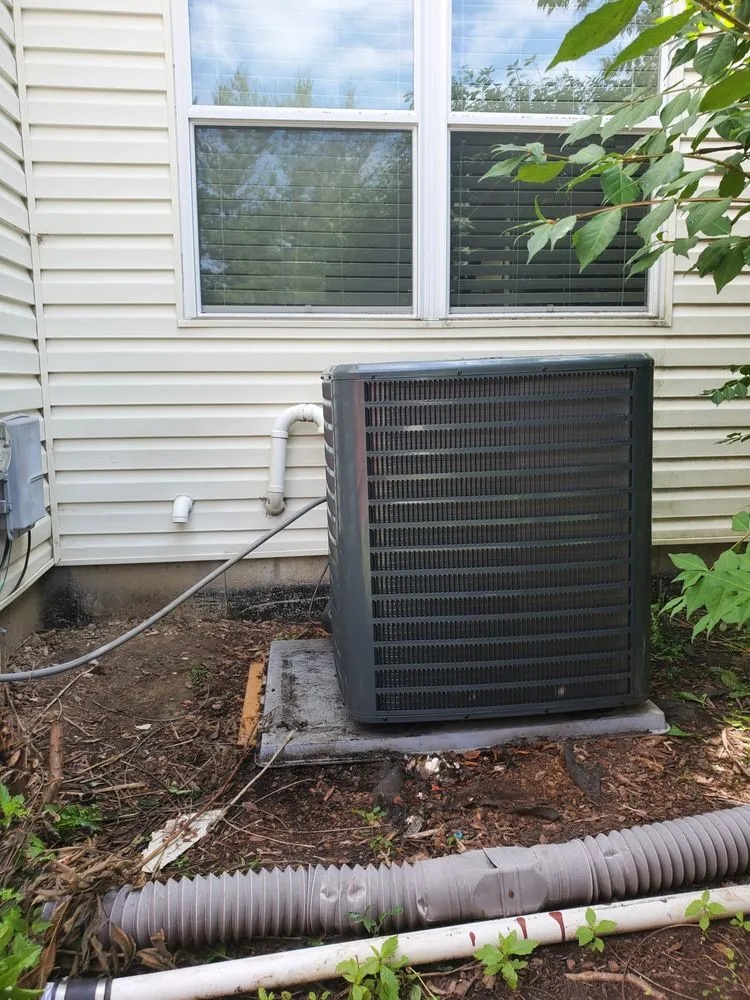 Slide of AVA Quality