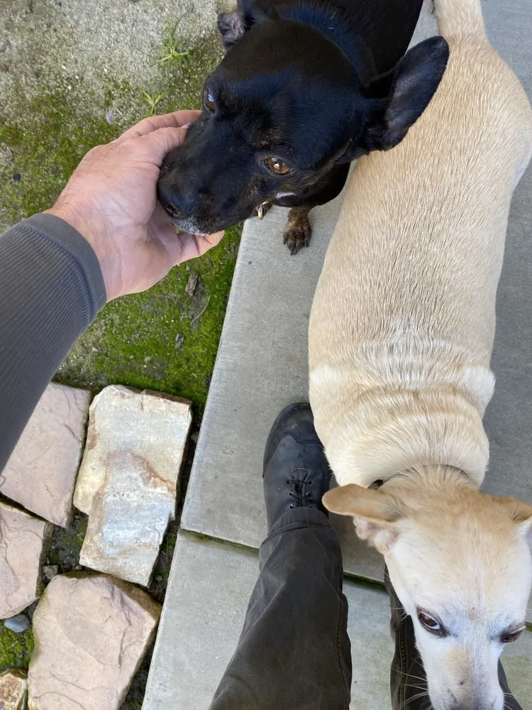 Slide of Avid Air Heating and Cooling