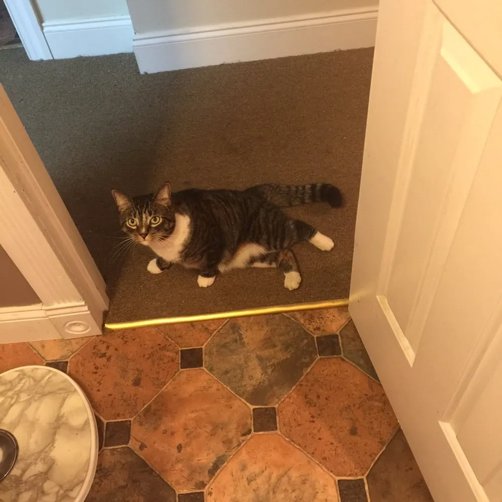 Slide of Awest Clean Air Systems