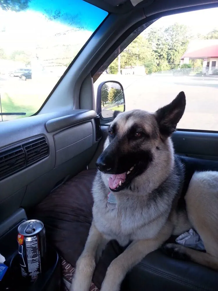 Slide of Awest Clean Air Systems