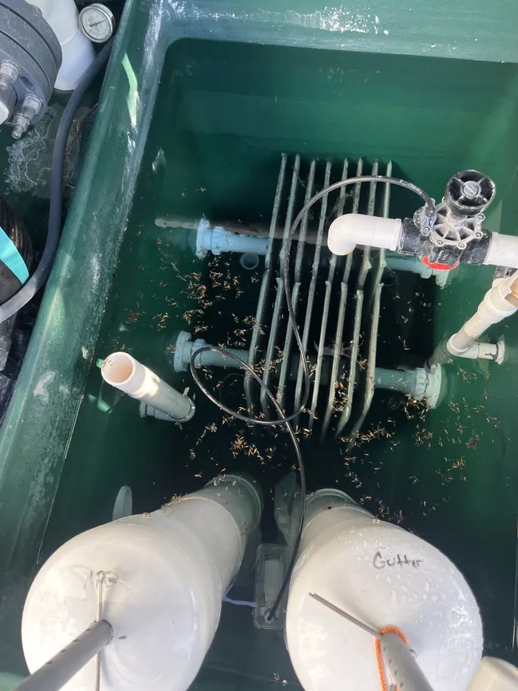 Slide of Ayala Handy Service