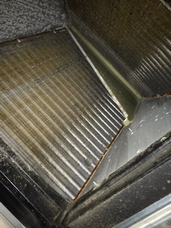 Slide of AZ Tech America