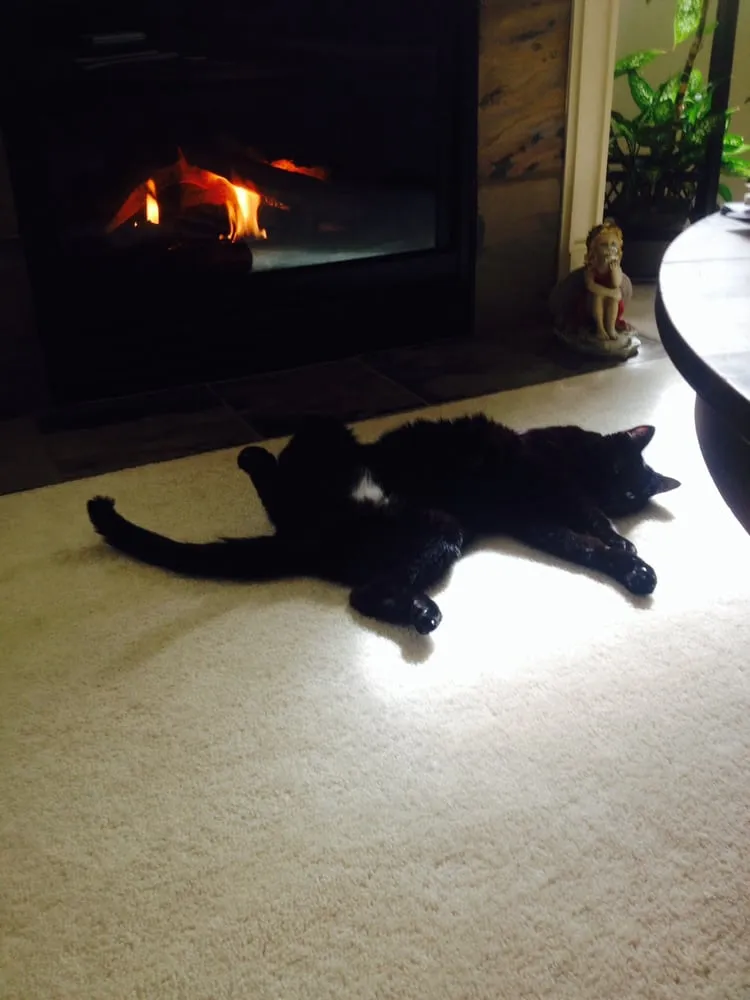 Slide of B & C Comfort