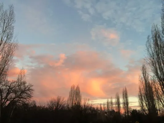 B A S Heating and Air Conditioning