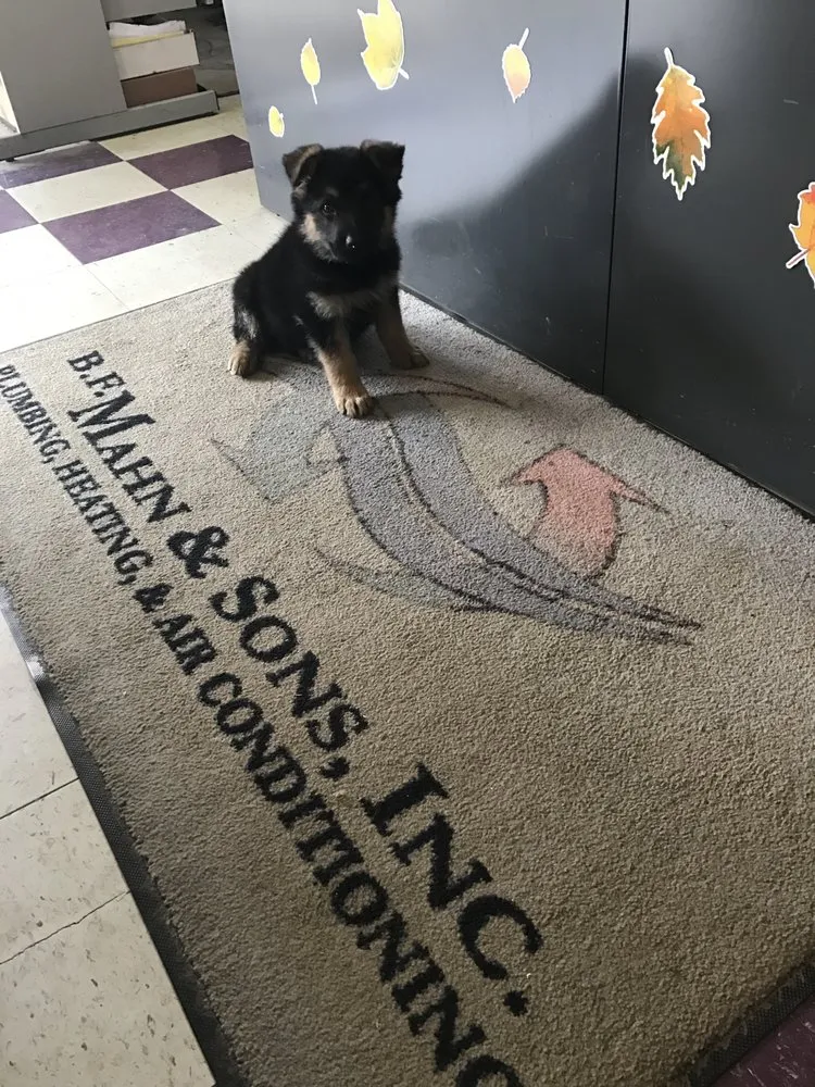 Slide of B. F. Mahn & Sons