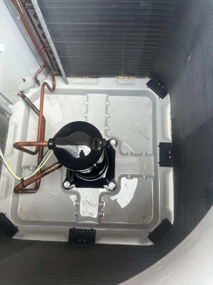 Slide of B M S Services