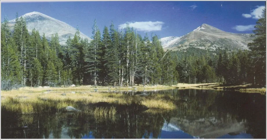 Slide of Back Country Mechanical