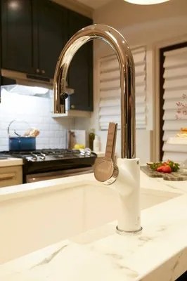 Backyard Plumbing & Boiler Repair Logo